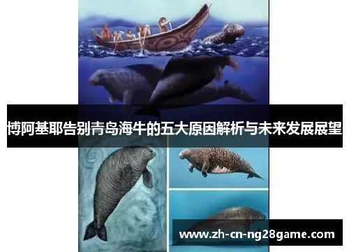 博阿基耶告别青岛海牛的五大原因解析与未来发展展望
