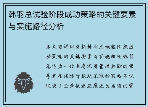 韩羽总试验阶段成功策略的关键要素与实施路径分析