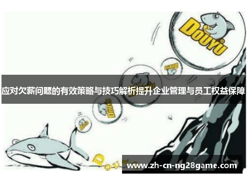 应对欠薪问题的有效策略与技巧解析提升企业管理与员工权益保障
