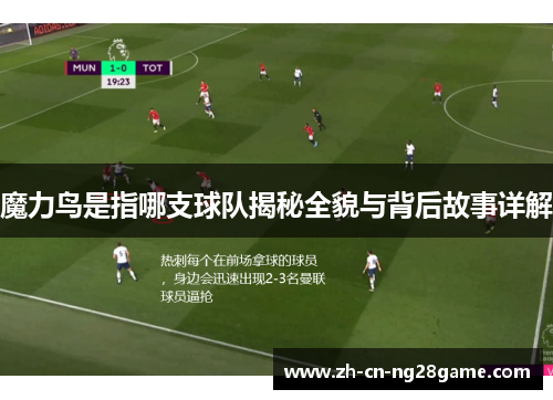 魔力鸟是指哪支球队揭秘全貌与背后故事详解